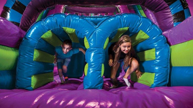Inflatable Obstacle Course
